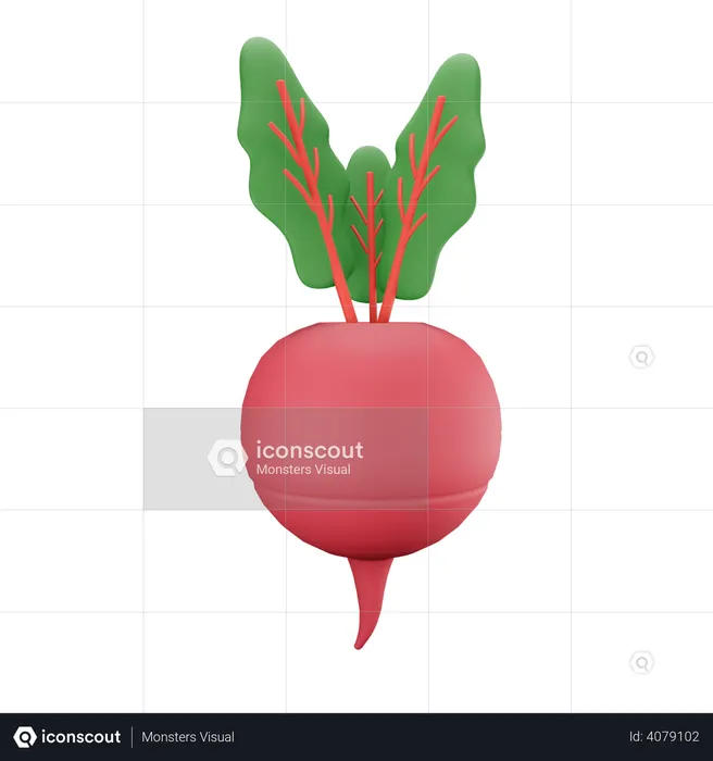 Beet  3D Illustration