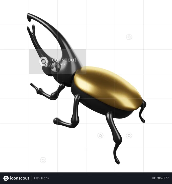 Beetle  3D Icon