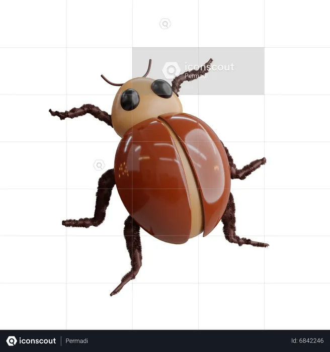 Beetles  3D Icon