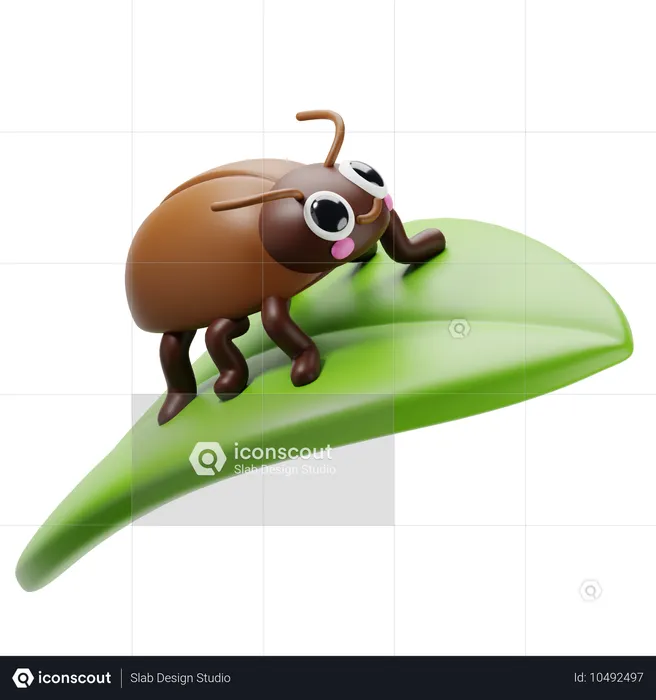 Beetles in leaf  3D Icon