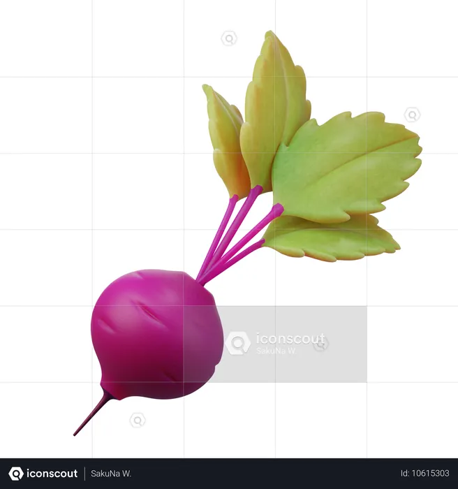 Beetroot  3D Icon