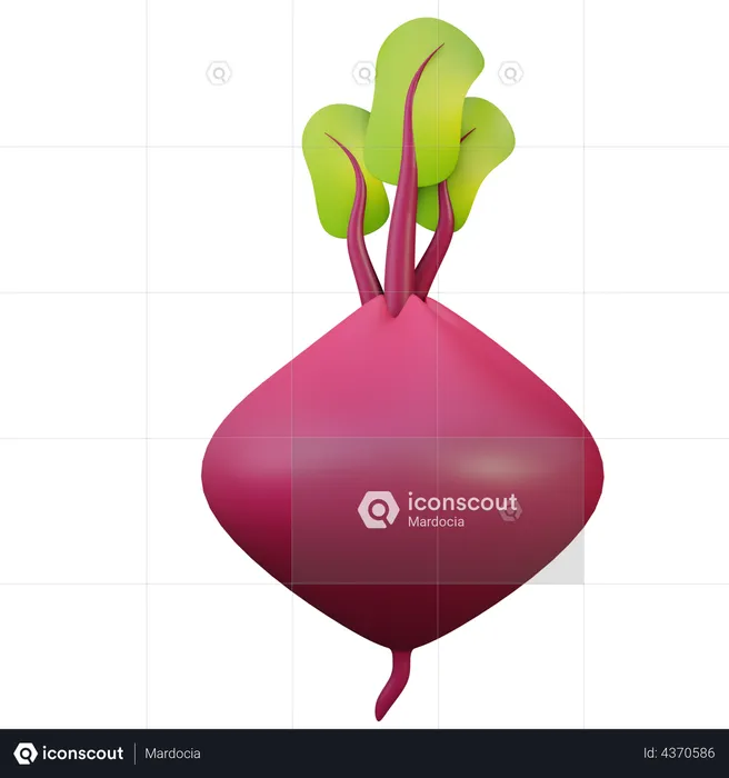 Beetroot  3D Illustration