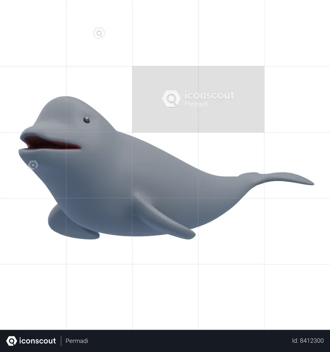 Beluga Whale  3D Icon