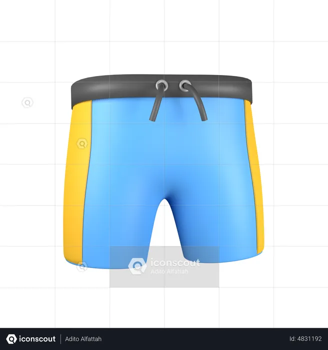 Bermuda Shorts  3D Illustration