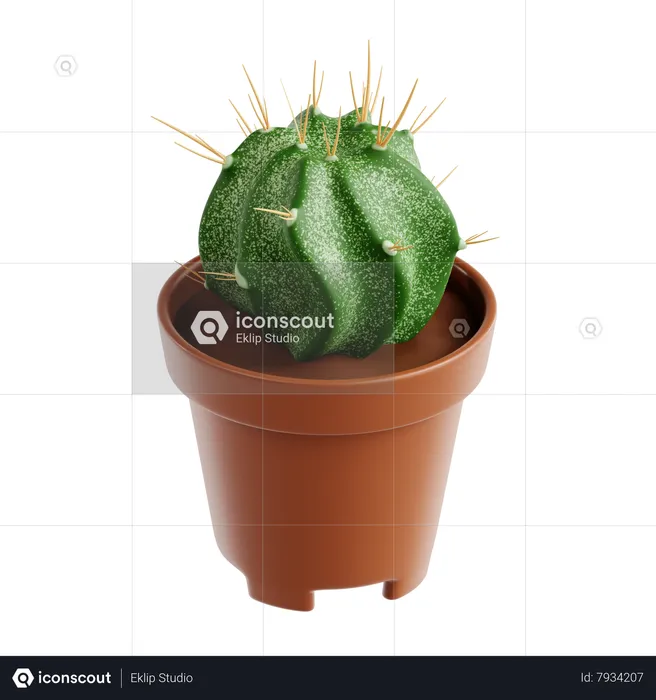 Bisho Cap Cactus  3D Icon