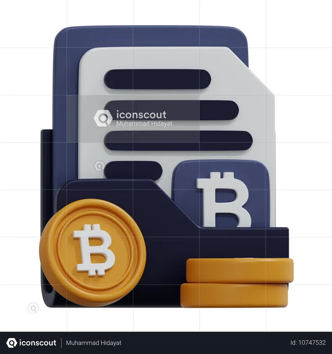 Bitcoin folder  3D Icon