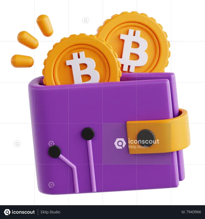 Bitcoin Wallet  3D Icon