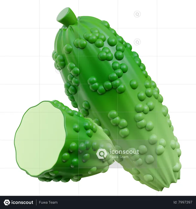 Bitter Gourd  3D Icon