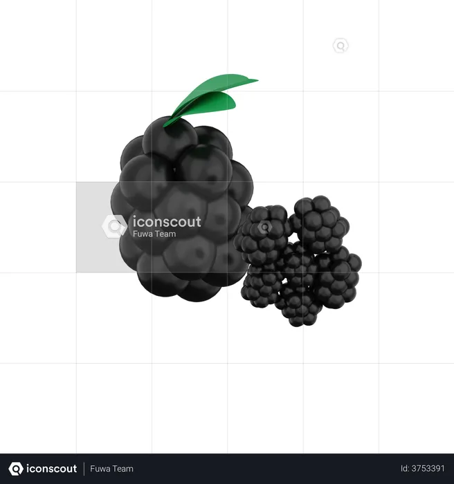 Blackberry  3D Illustration