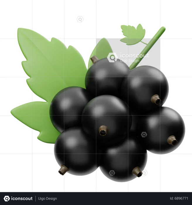 Blackcurrant  3D Icon