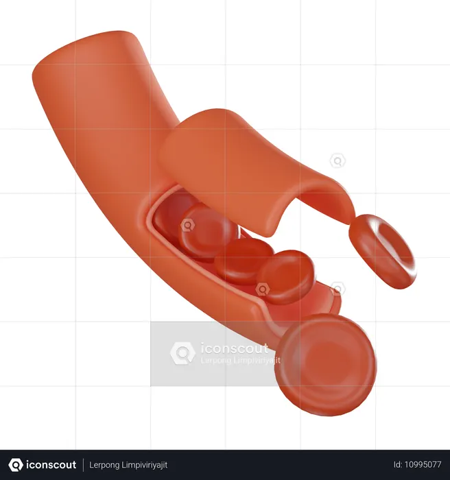 Blood Cell  3D Icon