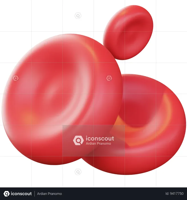 Blood Cells  3D Icon