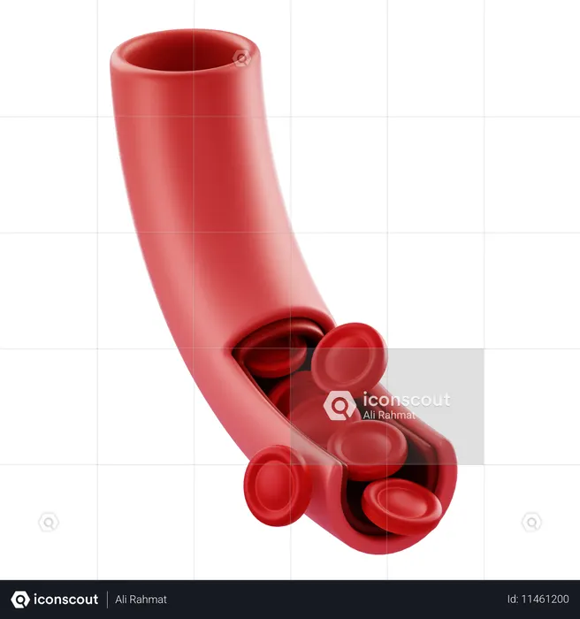 Blood Vessel  3D Icon
