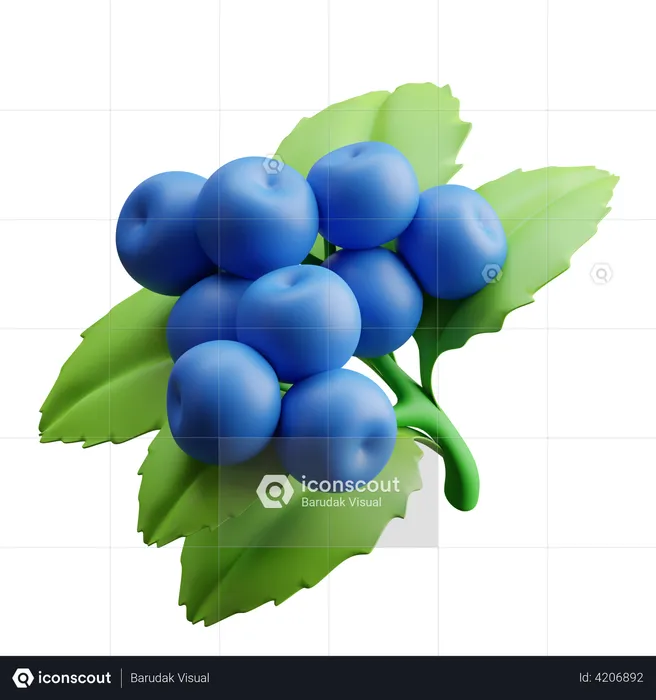 Blueberries  3D Illustration