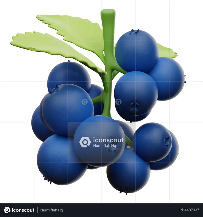 Blueberry  3D Icon