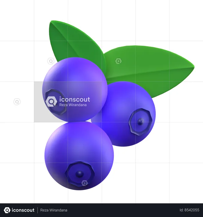 Blueberry  3D Icon