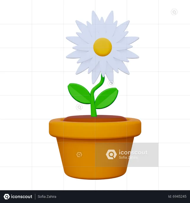 Blume  3D Icon