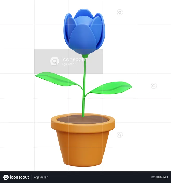 Blume  3D Icon