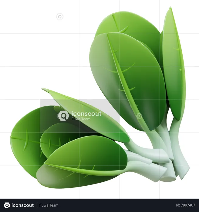 Bok Choy  3D Icon