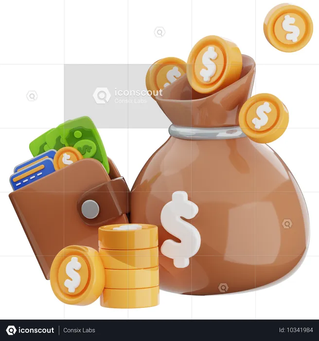 Bolsa de dinero  3D Icon