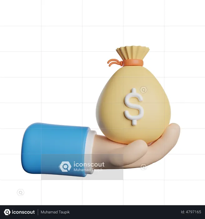 Bolsa de dinero  3D Icon