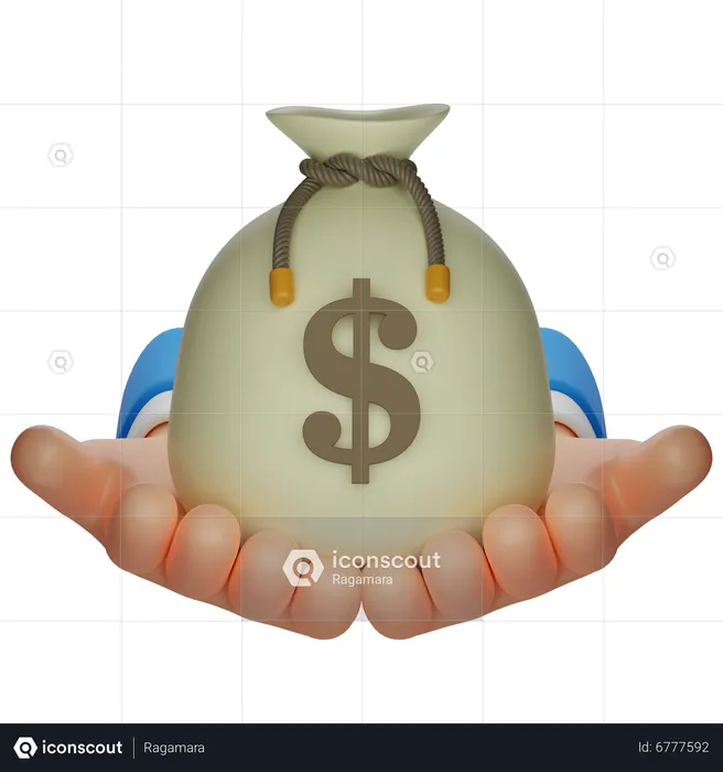 Bolsa de dinero  3D Icon