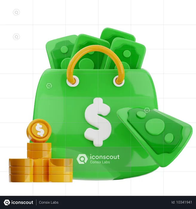 Bolsa de dinheiro  3D Icon