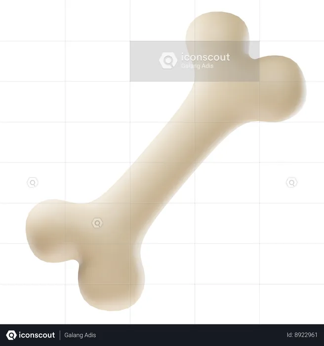 Bone  3D Icon