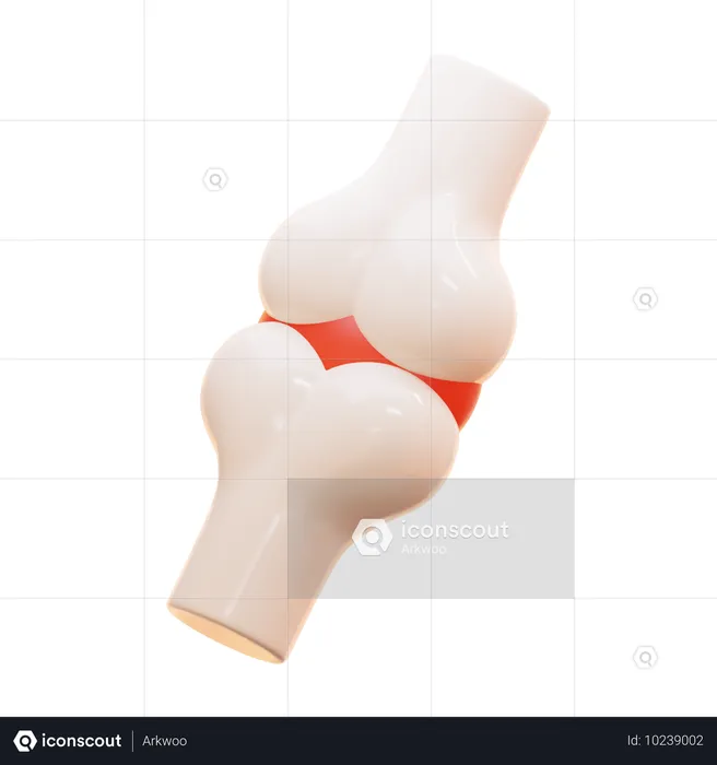 Bone Joint  3D Icon