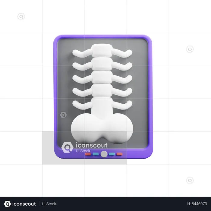 Bone Report  3D Icon