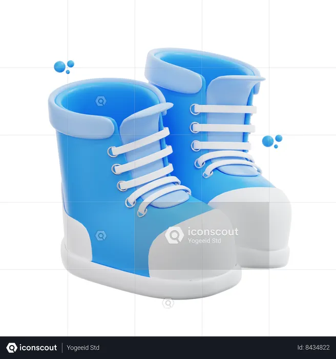 Botas  3D Icon