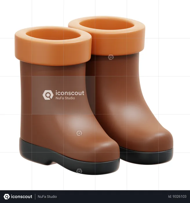 Botas  3D Icon