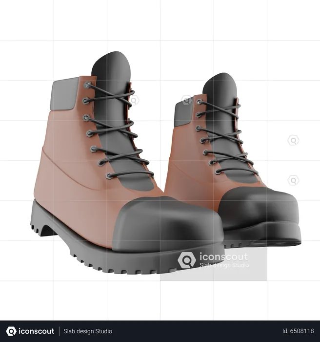 Botas  3D Icon