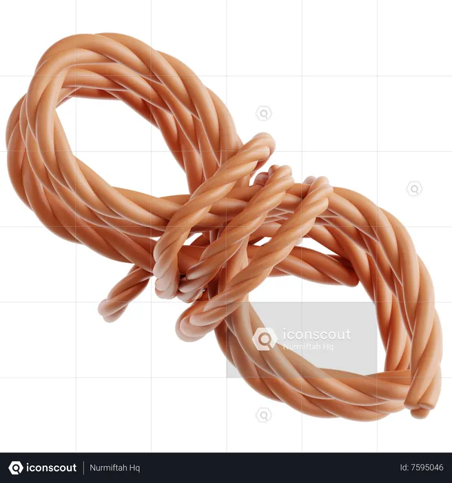 Bound Rope  3D Icon