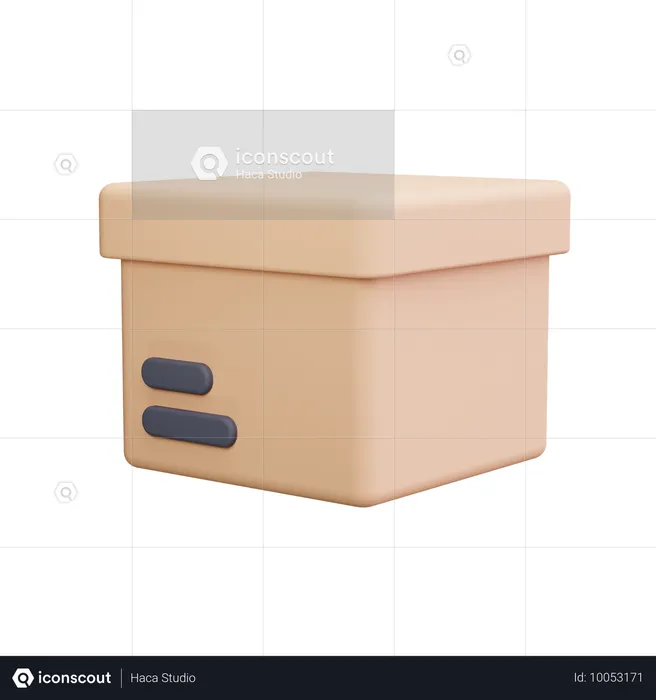 Box  3D Icon