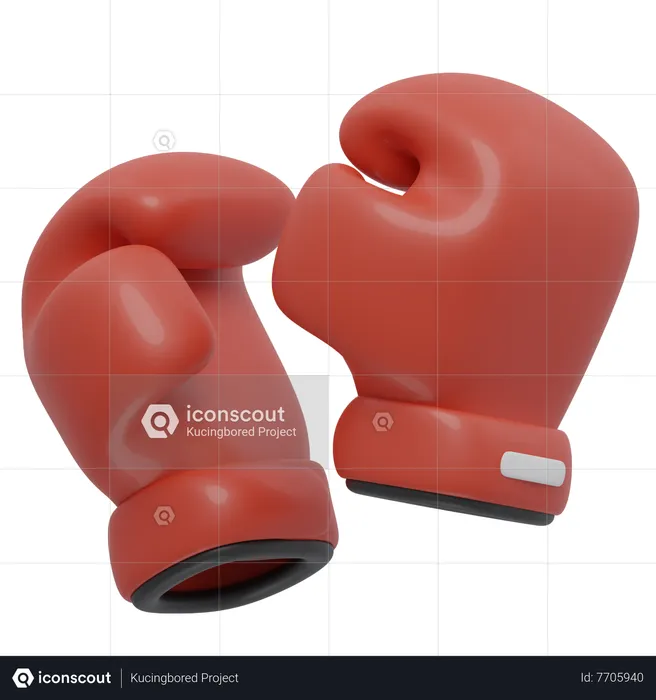 BOXING GLOVES  3D Icon
