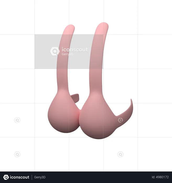 Bra  3D Icon