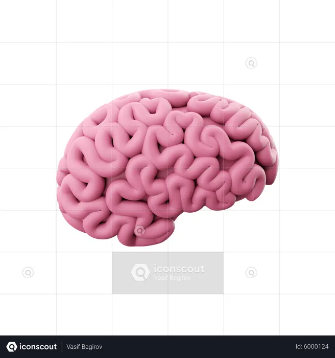 Brain  3D Icon