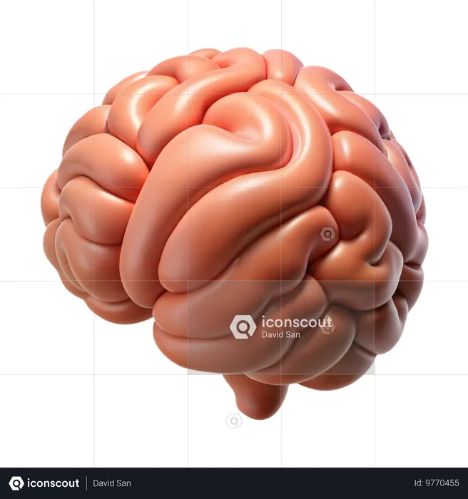 Brain  3D Icon