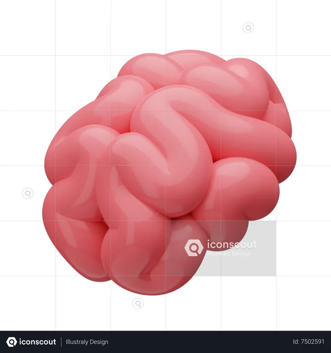 Brain  3D Icon