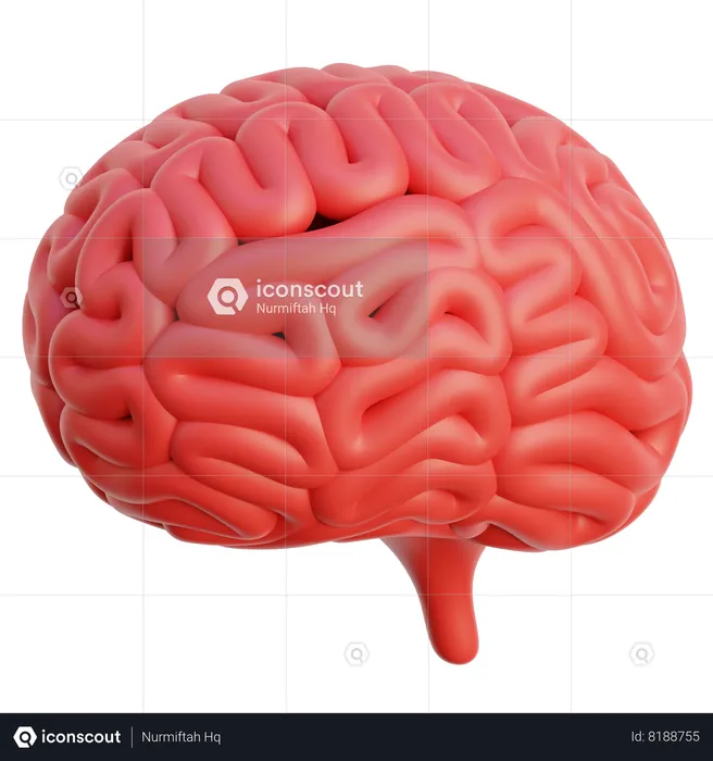 Brain  3D Icon