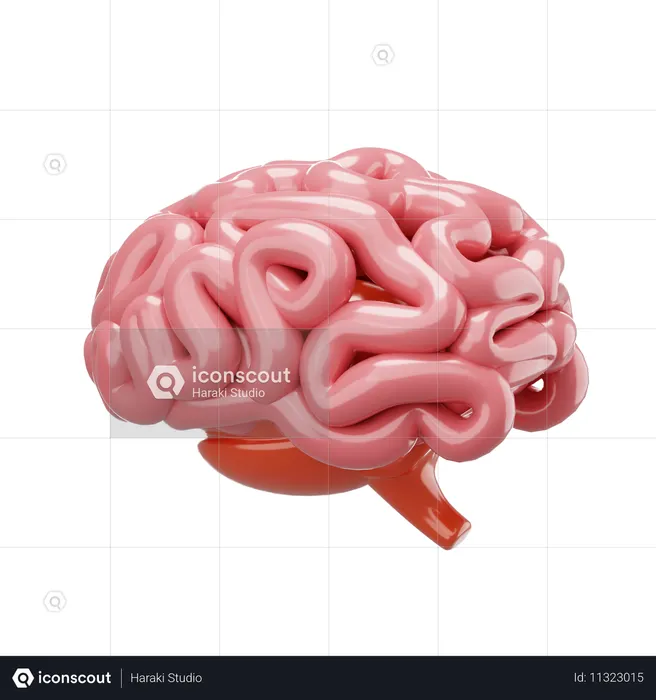 Brain  3D Icon
