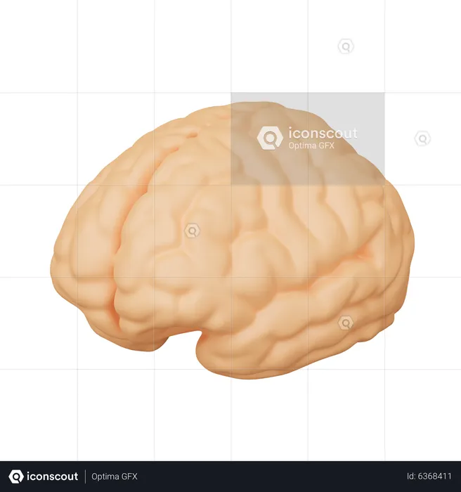 Brain  3D Icon