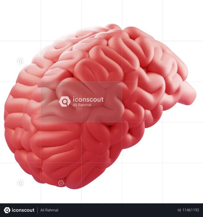 Brain  3D Icon