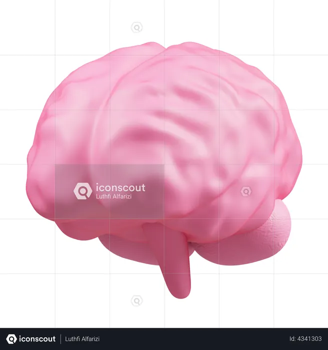 Brain  3D Icon