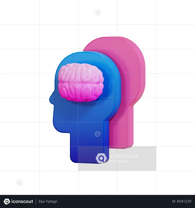 Brain  3D Illustration