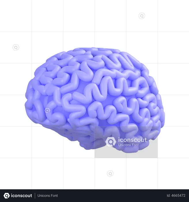 人間の脳  3D Icon