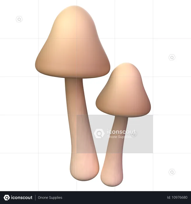 Brauner Pilz  3D Icon