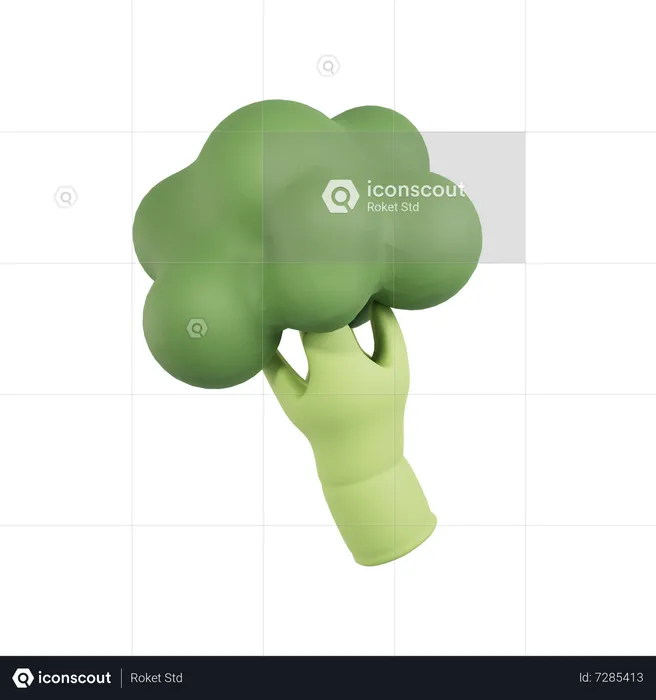 Broccoli  3D Icon