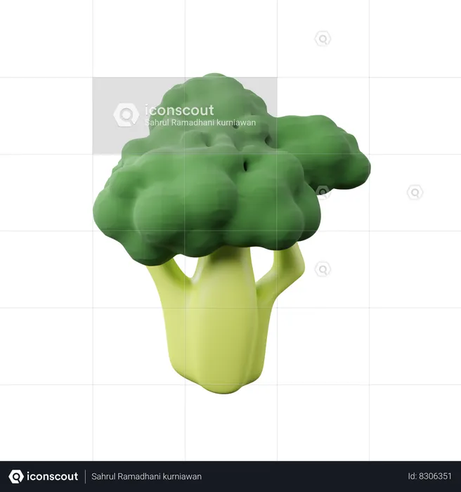 Broccoli  3D Icon